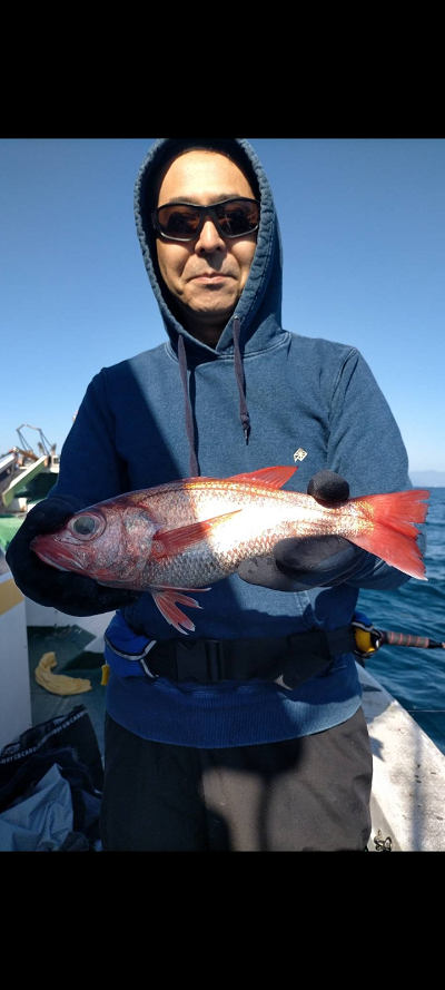 11月釣果です