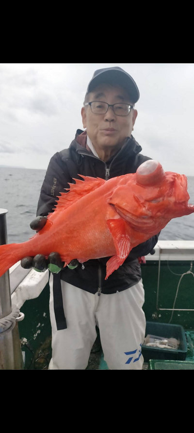 11月釣果です