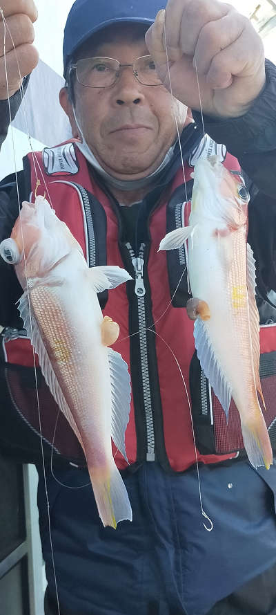 3月釣果です