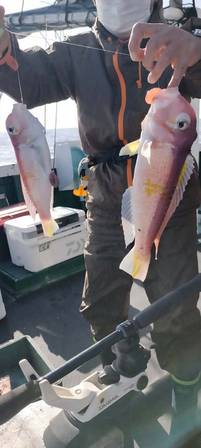 3月釣果です