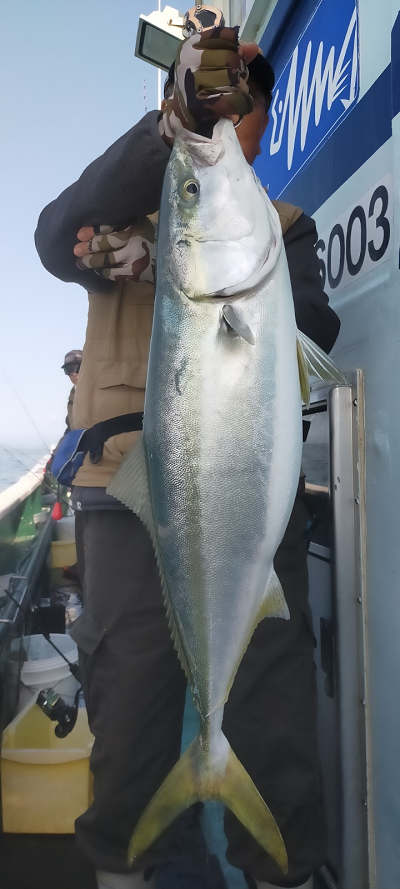 4月釣果です
