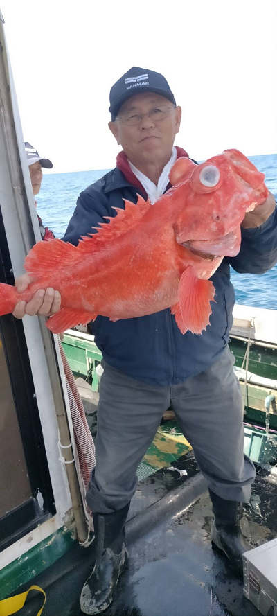 4月釣果です
