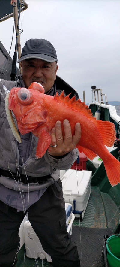 4月釣果です