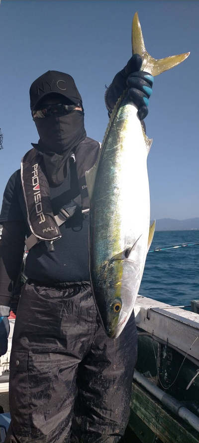 5月釣果です