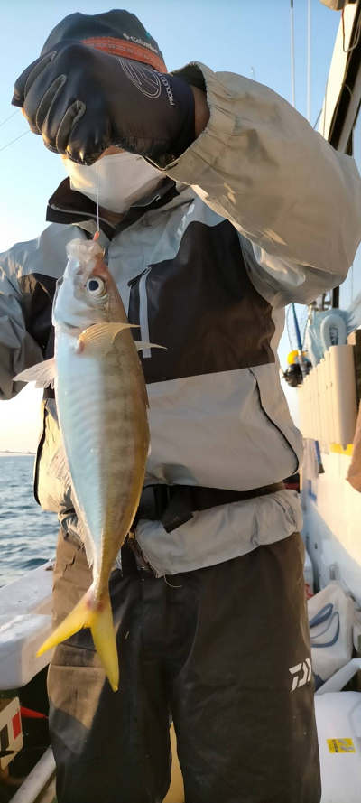 5月釣果です