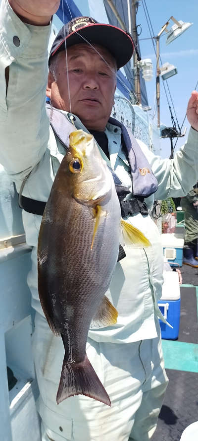 5月釣果です