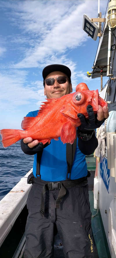 5月釣果です