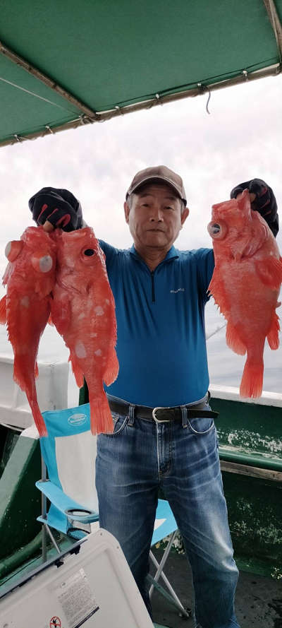 5月釣果です