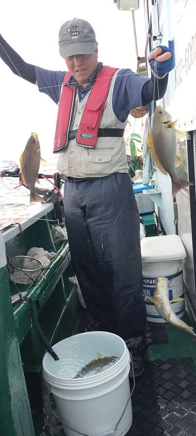 6月釣果です