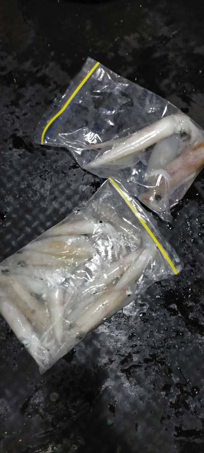 7月釣果です