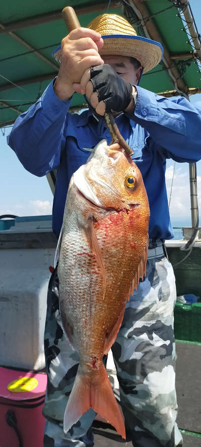8月釣果です