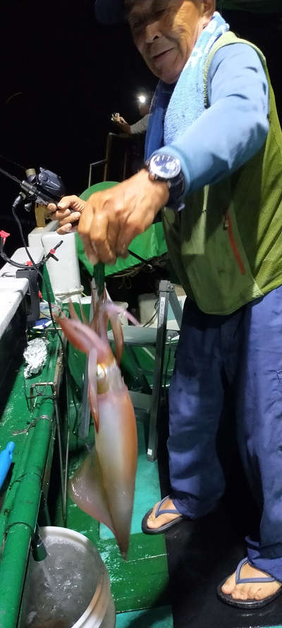 8月釣果です