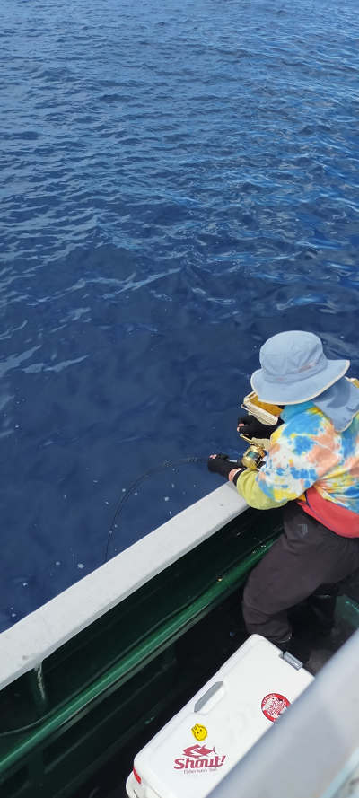 8月釣果です