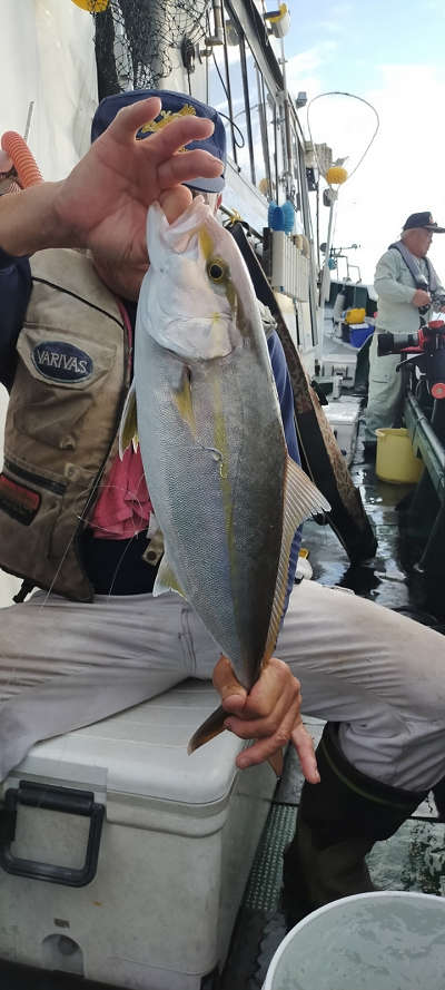 9月釣果です