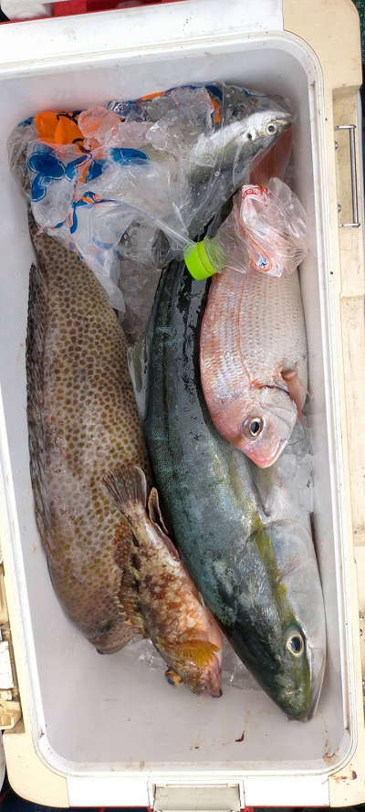 9月釣果です