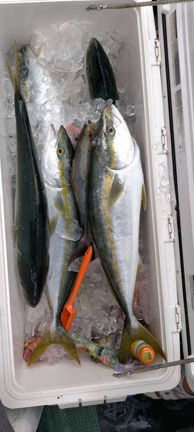 9月釣果です
