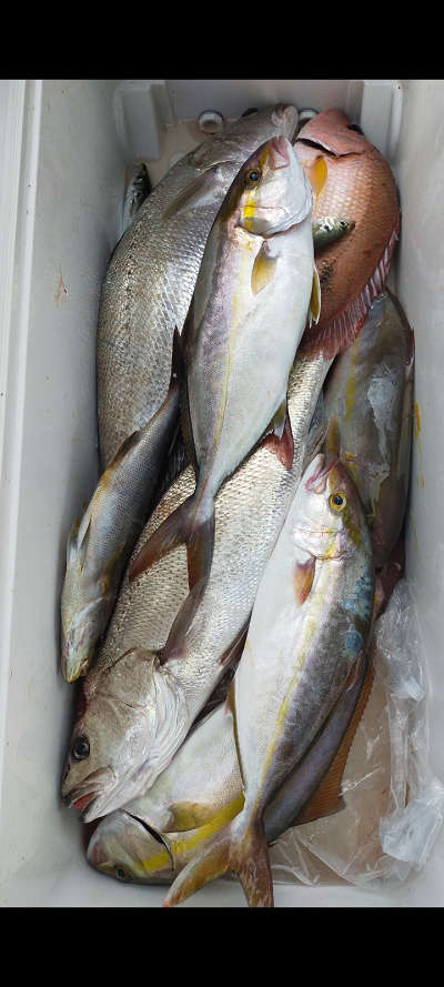 9月釣果です