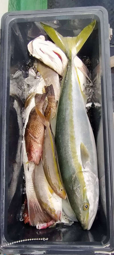 9月釣果です