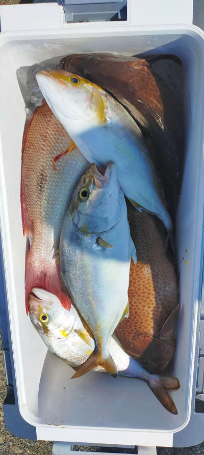 10月釣果です