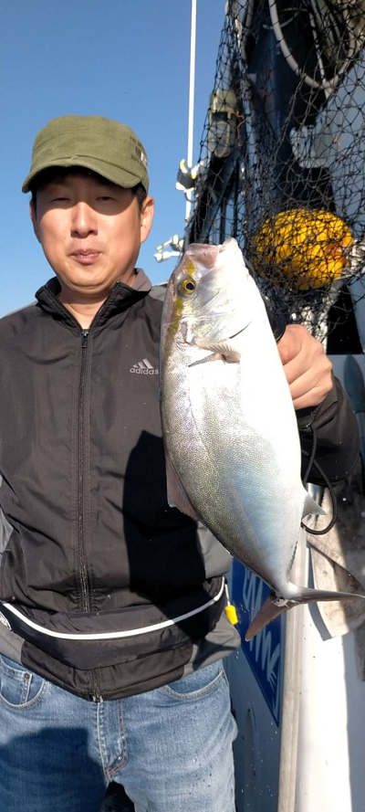 11月釣果です