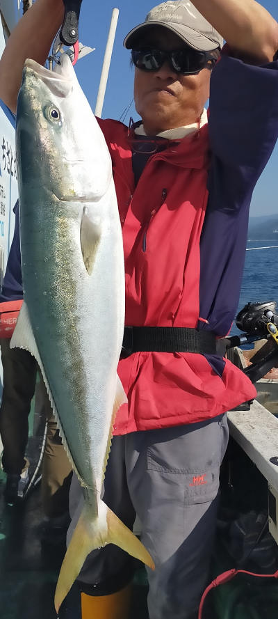 11月釣果です