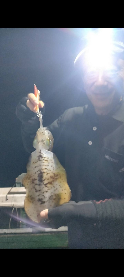 11月釣果です