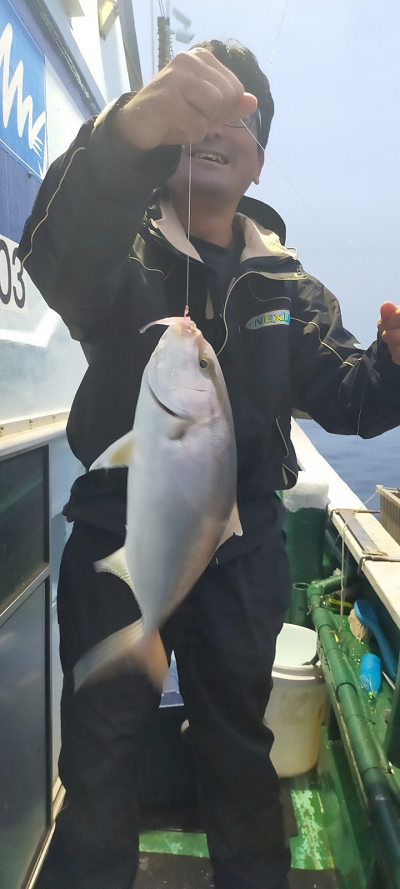 11月釣果です