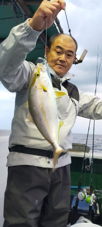 11月釣果です