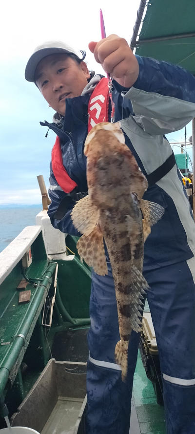 11月釣果です