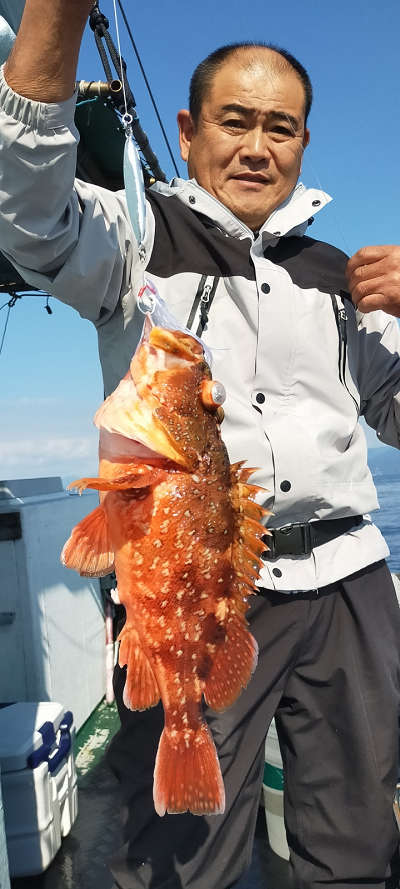 11月釣果です