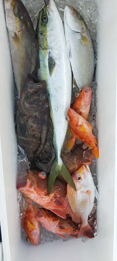 ネイリ・根魚釣り