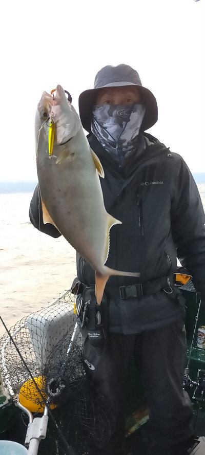 11月釣果です