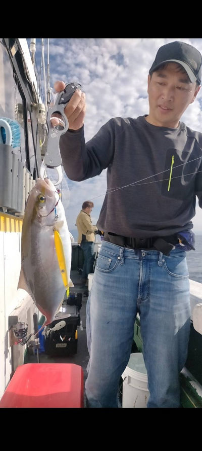 11月釣果です