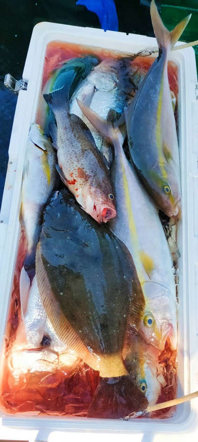 10月釣果です