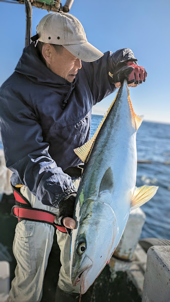 12月釣果です