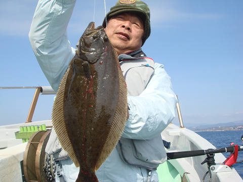 ヒラメ