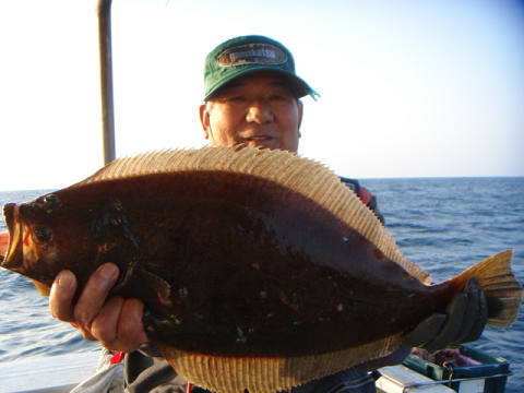 ヒラメ