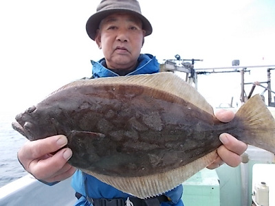 ヒラメ