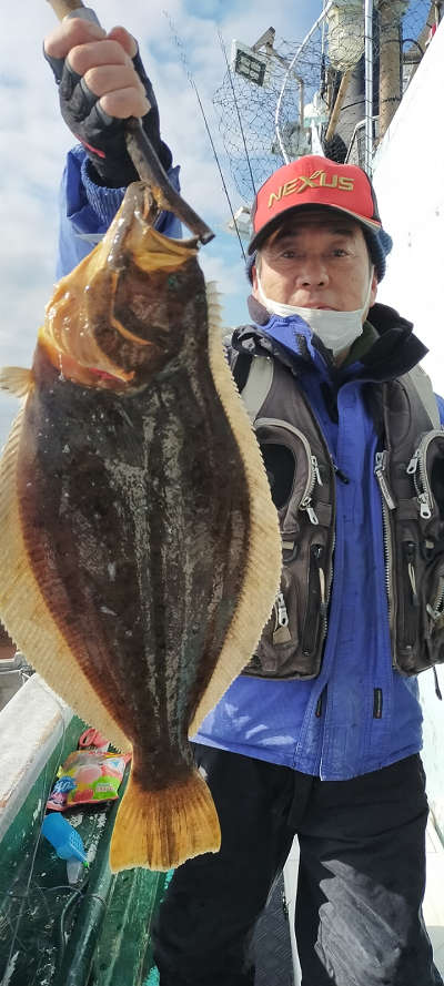 ヒラメ