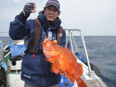 ガシラ・オニカサゴ