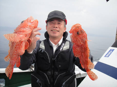 ガシラ・オニカサゴ