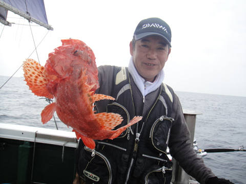 ガシラ・オニカサゴ
