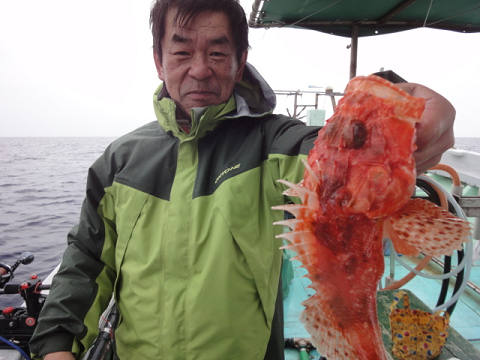 ガシラ・オニカサゴ