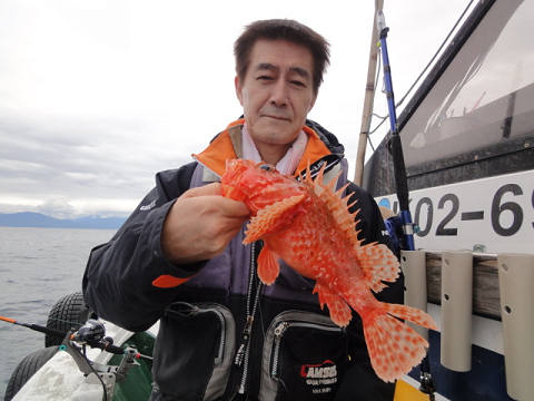 ガシラ・オニカサゴ