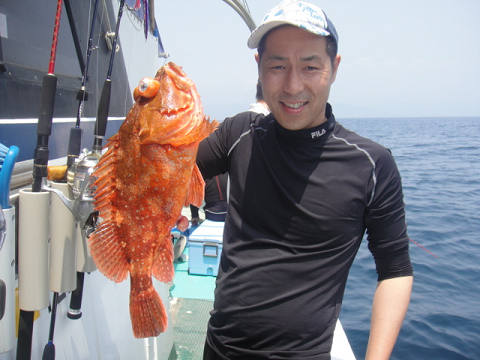 ガシラ・オニカサゴ