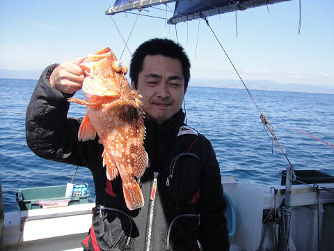 ガシラ・オニカサゴ