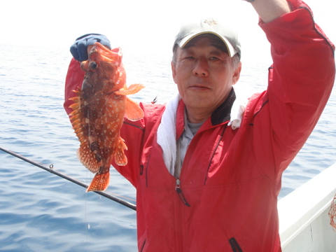 ガシラ・オニカサゴ