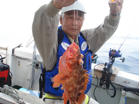 ガシラ・オニカサゴ