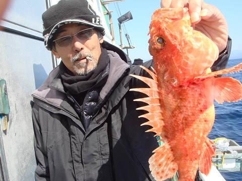 ガシラ・オニカサゴ