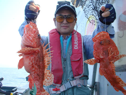 ガシラ・オニカサゴ